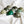Ceramic Dome Alpine Moss Collection