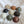 Ceramic Dome Volcanic Collection