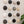 Ceramic Dome Black/White Collection (16)