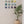 Ceramic Dome Rainbow Set (16)