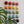 Ceramic Dome Rainbow Set (20)