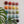 Ceramic Dome Rainbow Set (20)