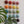 Ceramic Dome Rainbow Set (20)