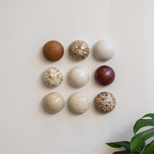 Ceramic Dome Bone & Earth Set (9)