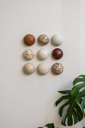 Ceramic Dome Bone & Earth Set (9)