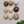 Ceramic Dome Bone & Earth Set (9)