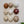 Ceramic Dome Bone & Earth Set (9)