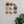 Bone & Earth Mixed Set (9)