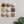 Bone & Earth Mixed Set (9)