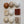 Bone & Earth Mixed Set (9)