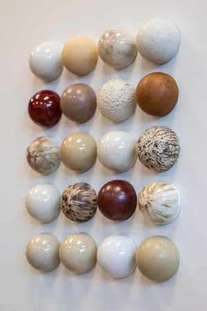 Ceramic Dome Bone & Earth Set (20)