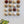 Ceramic Dome Bone & Earth Set (20)
