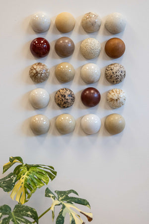 Ceramic Dome Bone & Earth Set (20)