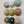 Ceramic Dome Greenhouse Set (9)