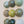 Ceramic Dome Moss & Stone Set (9)