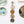 Earthy Neutrals 4 Link Daisy Chain