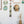 Forests 5 Link Daisy Chain