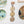 Soft Nuetrals 3 Link Daisy Chain