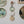 Moss and Stone 3 Link Daisy Chain