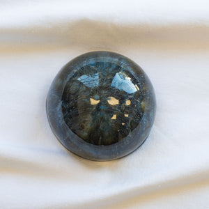Ceramic Dome Paua Shell