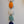 Bright 9 Link Daisy Chain