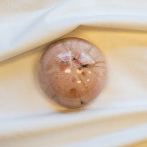 Ceramic Dome Neopolitan