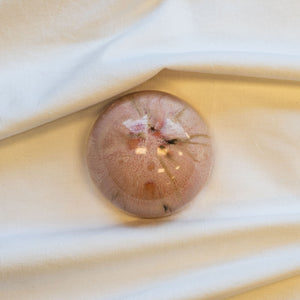 Ceramic Dome Neopolitan