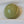 Ceramic Dome Sage