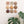 Mineral & Earth Mixed Set (9)