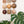 Mineral & Earth Mixed Set (9)