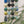 Green Forest Collection With Wall Creature (20)