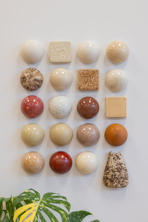 Mineral Collection With Wall Creature (20)