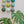 Ceramic Dome Dreamy Meadow Set (9)