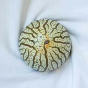 Ceramic Dome Fake Ash
