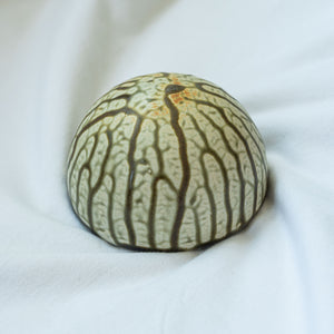 Ceramic Dome Fake Ash