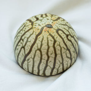 Ceramic Dome Fake Ash