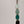 Evergreen Gradient 4 Link Daisy Chain