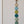 Dreamy Meadow 6 Link Daisy Chain