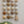Ceramic Dome Gathered Stones Set With Creature (20)