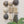 Ebony & Chalk Mixed Ceramic Set With Creature (9)