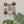 Ebony & Chalk Mixed Ceramic Set  (9)