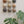 Ceramic Dome Glaze Study Set (9)