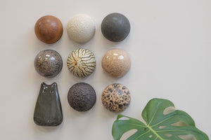 Ceramic Dome Glaze Study Set With Creature (9)