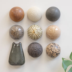 Ceramic Dome Glaze Study Set With Creature (9)