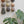 Ceramic Dome Glaze Study Set With Creature (9)