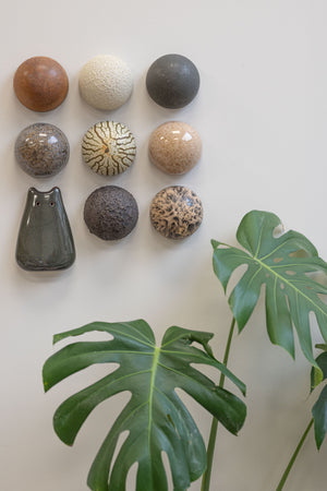 Ceramic Dome Glaze Study Set With Creature (9)