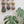 Ceramic Dome Glaze Study Set With Creature (9)
