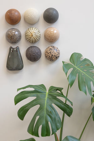 Ceramic Dome Glaze Study Set With Creature (9)