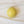 Ceramic Dome Buttercup