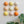 Ceramic Dome Apricot Fizz Set (9)